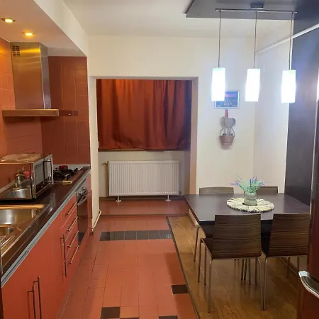 Apartment Central Apart Timisoara