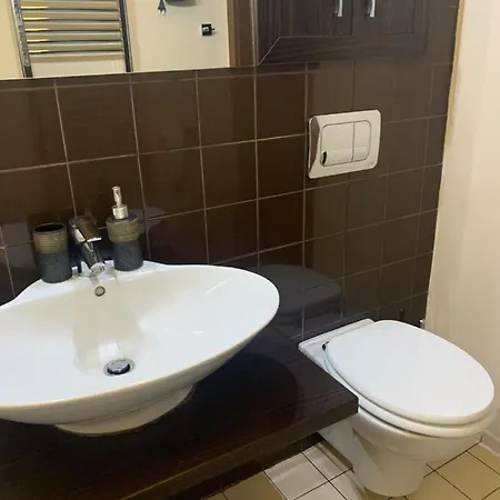 Central Apart Timisoara