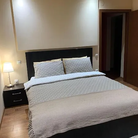 Central Apart Apartment Timisoara