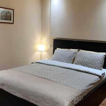 Central Apart Appartement Timişoara