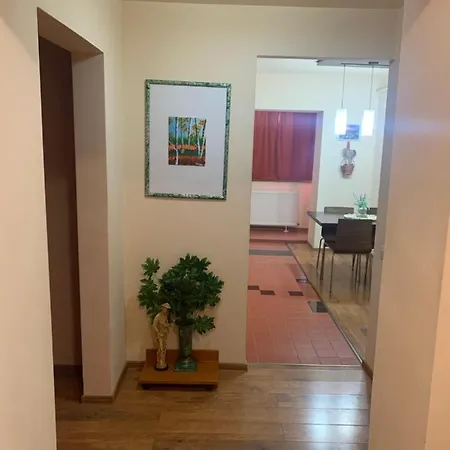 Διαμέρισμα Central Apart *